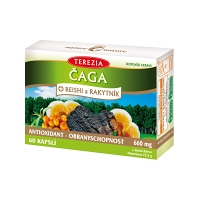TEREZIA Čaga+reishi a rakytník 60 kapsúl